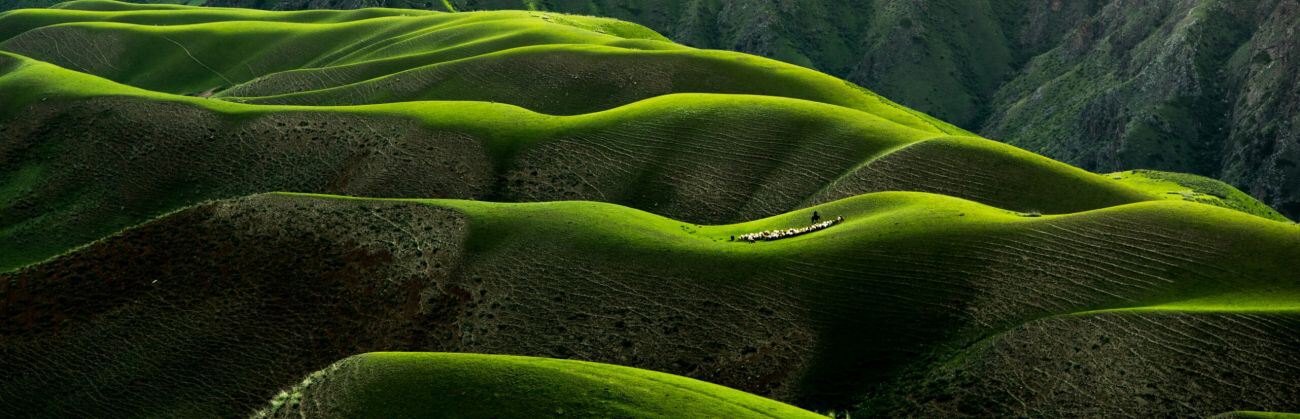 How to Be Kind To Your Mind