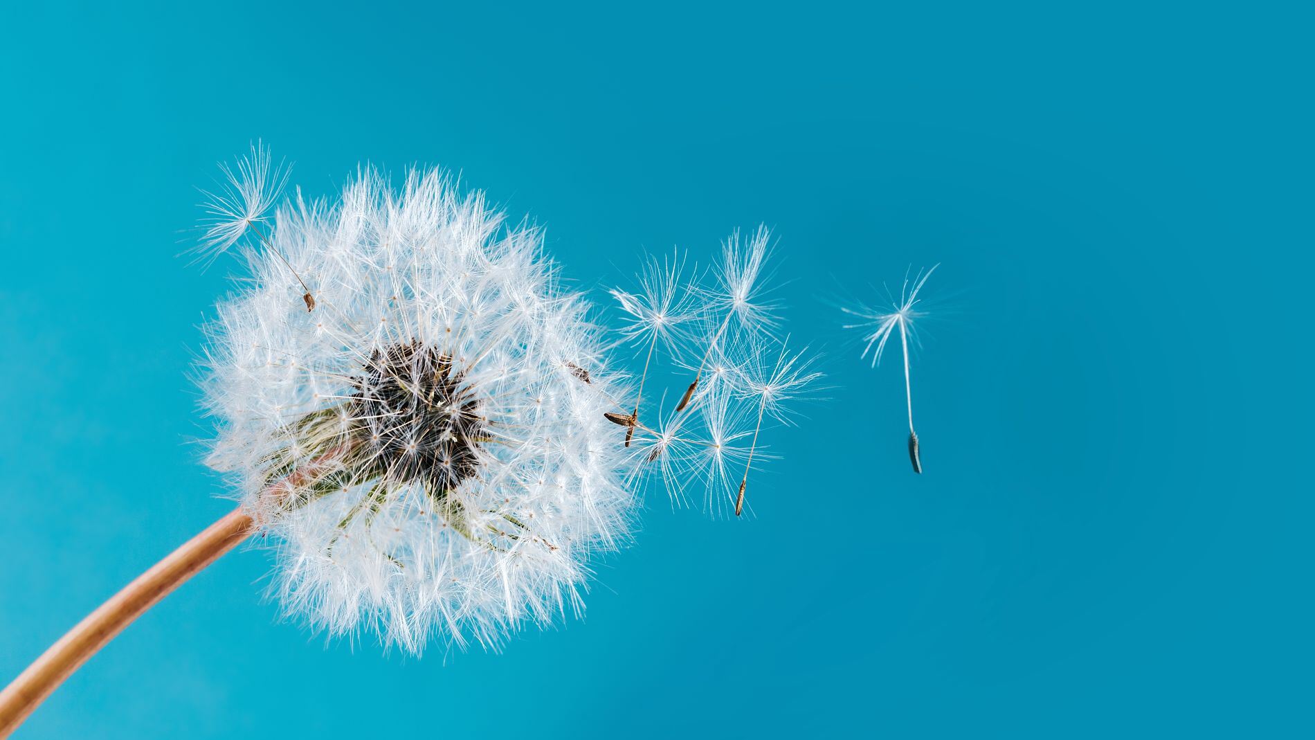 Grief Arrives Unexpectedly and Uninvited